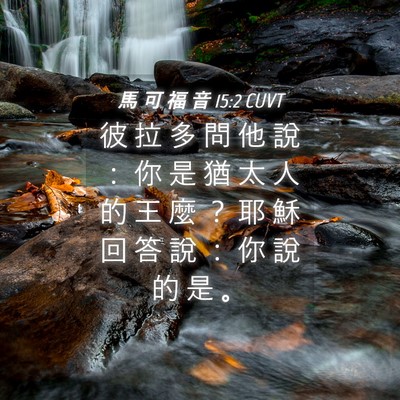 Picture 04 - 馬 可 福 音 15:2 CUVT - 彼 拉 多 問 他 說 ： 你 是 猶 太 人 - Bible Verse Picture