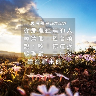 Picture 04 - 馬 可 福 音 15:29 CUVT - 從 那 裡 經 過 的 人 辱 罵 他 ， 搖 - Bible Verse Picture