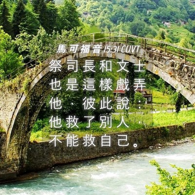 Picture 04 - 馬 可 福 音 15:31 CUVT - 祭 司 長 和 文 士 也 是 這 樣 戲 弄 - Bible Verse Picture