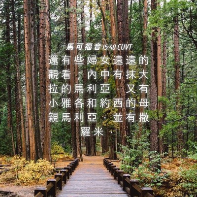 Picture 04 - 馬 可 福 音 15:40 CUVT - 還 有 些 婦 女 遠 遠 的 觀 看 ； 內 - Bible Verse Picture
