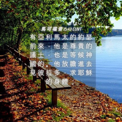Picture 04 - 馬 可 福 音 15:43 CUVT - 有 亞 利 馬 太 的 約 瑟 前 來 ， 他 - Bible Verse Picture