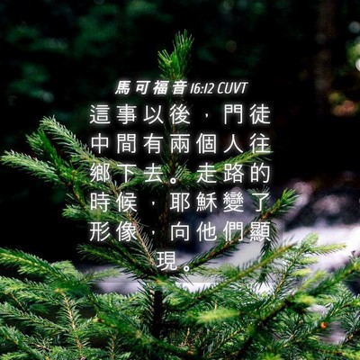 Picture 04 - 馬 可 福 音 16:12 CUVT - 這 事 以 後 ， 門 徒 中 間 有 兩 個 - Bible Verse Picture