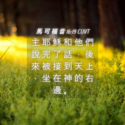 Picture 04 - 馬 可 福 音 16:19 CUVT - 主 耶 穌 和 他 們 說 完 了 話 ， 後 - Bible Verse Picture