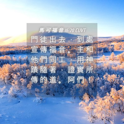 Picture 04 - 馬 可 福 音 16:20 CUVT - 門 徒 出 去 ， 到 處 宣 傳 福 音 。 - Bible Verse Picture
