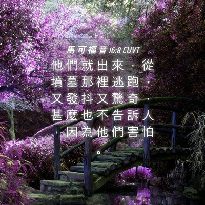Picture 04 - 馬 可 福 音 16:8 CUVT - 他 們 就 出 來 ， 從 墳 墓 那 裡 逃 - Bible Verse Picture