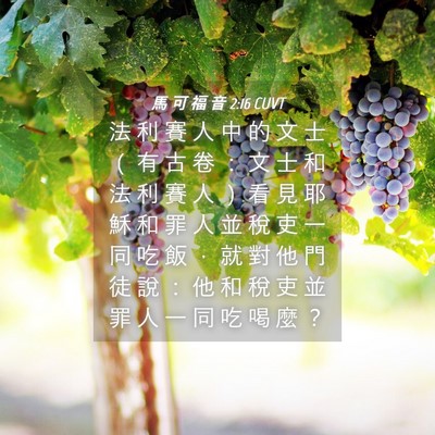 Picture 04 - 馬 可 福 音 2:16 CUVT - 法 利 賽 人 中 的 文 士 （ 有 古 卷 - Bible Verse Picture