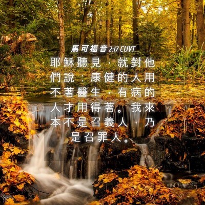 Picture 04 - 馬 可 福 音 2:17 CUVT - 耶 穌 聽 見 ， 就 對 他 們 說 ： 康 - Bible Verse Picture