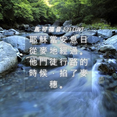 Picture 04 - 馬 可 福 音 2:23 CUVT - 耶 穌 當 安 息 日 從 麥 地 經 過 。 - Bible Verse Picture