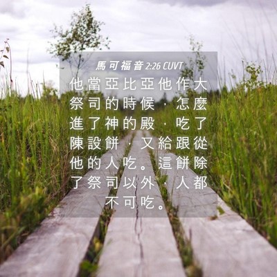 Picture 04 - 馬 可 福 音 2:26 CUVT - 他 當 亞 比 亞 他 作 大 祭 司 的 時 - Bible Verse Picture