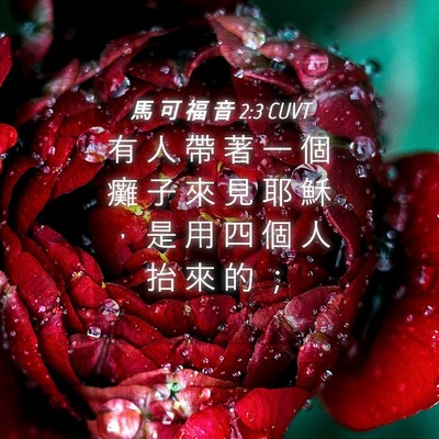 Picture 04 - 馬 可 福 音 2:3 CUVT - 有 人 帶 著 一 個 癱 子 來 見 耶 穌 - Bible Verse Picture