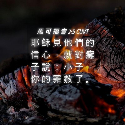 Picture 04 - 馬 可 福 音 2:5 CUVT - 耶 穌 見 他 們 的 信 心 ， 就 對 癱 - Bible Verse Picture