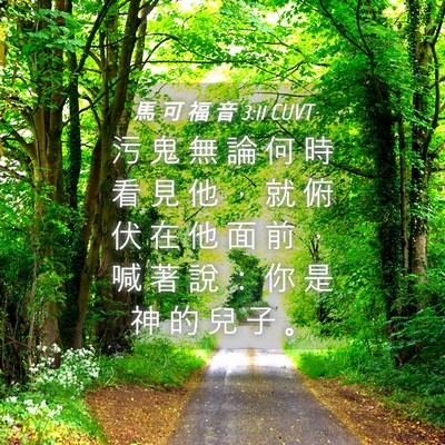 Picture 04 - 馬 可 福 音 3:11 CUVT - 污 鬼 無 論 何 時 看 見 他 ， 就 俯 - Bible Verse Picture