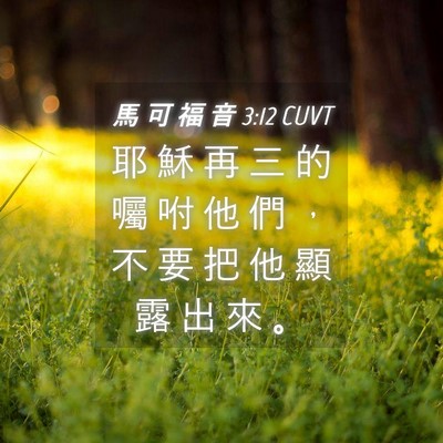 Picture 04 - 馬 可 福 音 3:12 CUVT - 耶 穌 再 三 的 囑 咐 他 們 ， 不 要 - Bible Verse Picture