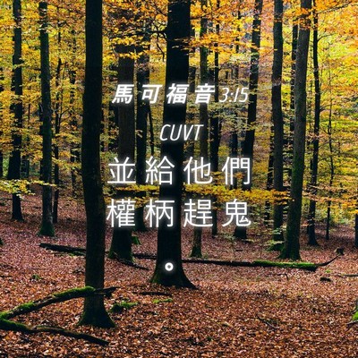 Picture 04 - 馬 可 福 音 3:15 CUVT - 並 給 他 們 權 柄 趕 鬼 - Bible Verse Picture