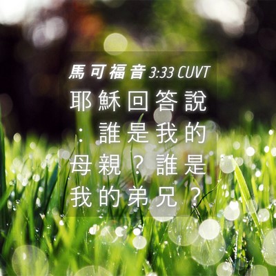 Picture 04 - 馬 可 福 音 3:33 CUVT - 耶 穌 回 答 說 ： 誰 是 我 的 母 親 - Bible Verse Picture