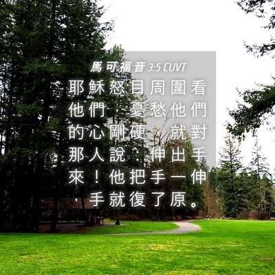 Picture 04 - 馬 可 福 音 3:5 CUVT - 耶 穌 怒 目 周 圍 看 他 們 ， 憂 愁 - Bible Verse Picture
