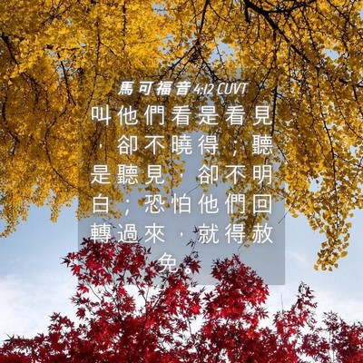 Picture 04 - 馬 可 福 音 4:12 CUVT - 叫 他 們 看 是 看 見 ， 卻 不 曉 得 - Bible Verse Picture