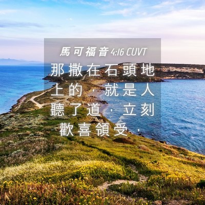 Picture 04 - 馬 可 福 音 4:16 CUVT - 那 撒 在 石 頭 地 上 的 ， 就 是 人 - Bible Verse Picture