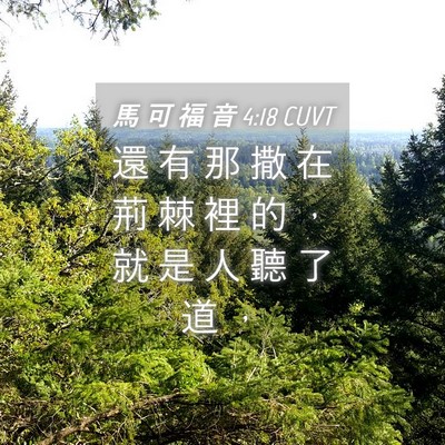 Picture 04 - 馬 可 福 音 4:18 CUVT - 還 有 那 撒 在 荊 棘 裡 的 ， 就 是 - Bible Verse Picture