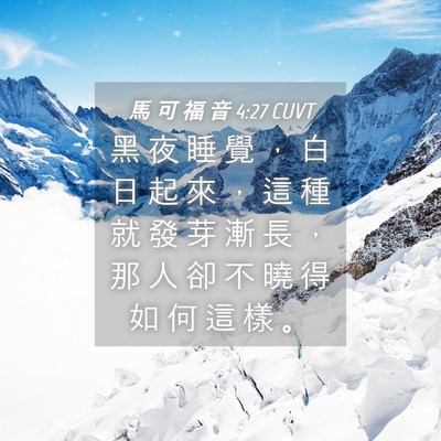 Picture 04 - 馬 可 福 音 4:27 CUVT - 黑 夜 睡 覺 ， 白 日 起 來 ， 這 種 - Bible Verse Picture
