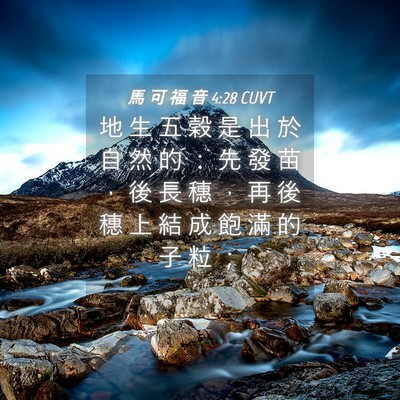 Picture 04 - 馬 可 福 音 4:28 CUVT - 地 生 五 穀 是 出 於 自 然 的 ： 先 - Bible Verse Picture