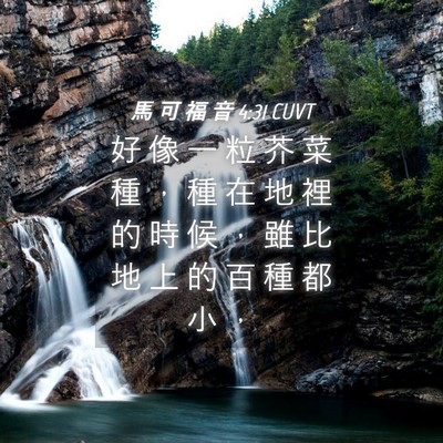 Picture 04 - 馬 可 福 音 4:31 CUVT - 好 像 一 粒 芥 菜 種 ， 種 在 地 裡 - Bible Verse Picture