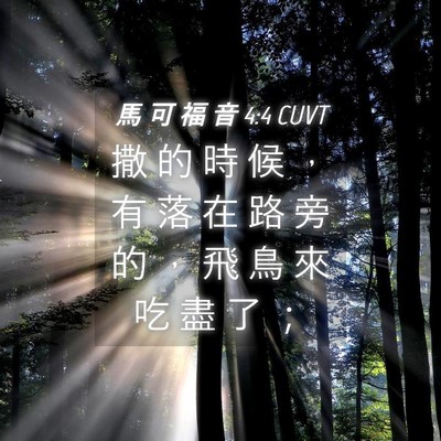 Picture 04 - 馬 可 福 音 4:4 CUVT - 撒 的 時 候 ， 有 落 在 路 旁 的 ， - Bible Verse Picture