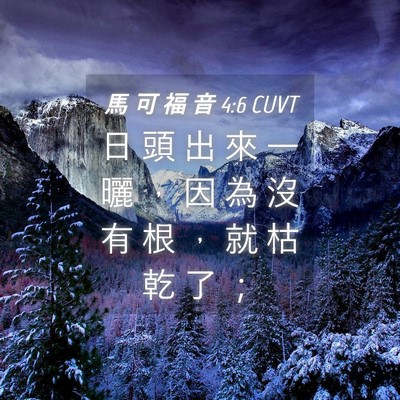 Picture 04 - 馬 可 福 音 4:6 CUVT - 日 頭 出 來 一 曬 ， 因 為 沒 有 根 - Bible Verse Picture