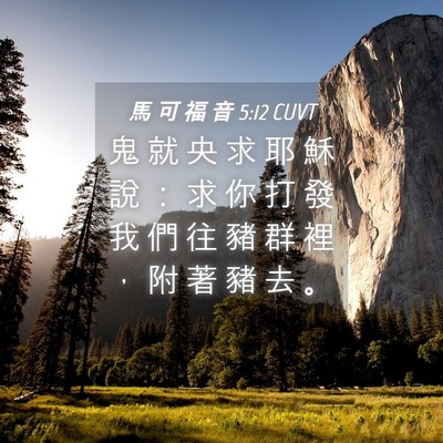Picture 04 - 馬 可 福 音 5:12 CUVT - 鬼 就 央 求 耶 穌 說 ： 求 你 打 發 - Bible Verse Picture