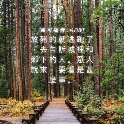 Picture 04 - 馬 可 福 音 5:14 CUVT - 放 豬 的 就 逃 跑 了 ， 去 告 訴 城 - Bible Verse Picture