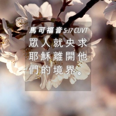 Picture 04 - 馬 可 福 音 5:17 CUVT - 眾 人 就 央 求 耶 穌 離 開 他 們 的 - Bible Verse Picture