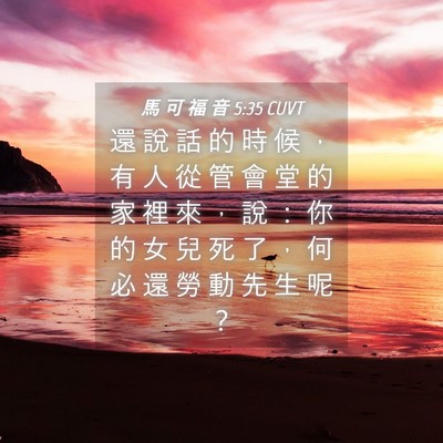 Picture 04 - 馬 可 福 音 5:35 CUVT - 還 說 話 的 時 候 ， 有 人 從 管 會 - Bible Verse Picture