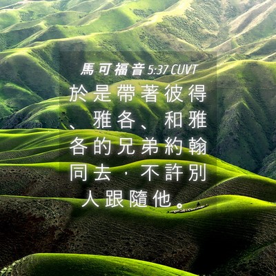 Picture 04 - 馬 可 福 音 5:37 CUVT - 於 是 帶 著 彼 得 、 雅 各 、 和 雅 - Bible Verse Picture