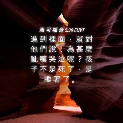 Picture 04 - 馬 可 福 音 5:39 CUVT - 進 到 裡 面 ， 就 對 他 們 說 ： 為 - Bible Verse Picture