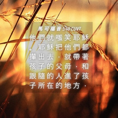 Picture 04 - 馬 可 福 音 5:40 CUVT - 他 們 就 嗤 笑 耶 穌 。 耶 穌 把 他 - Bible Verse Picture