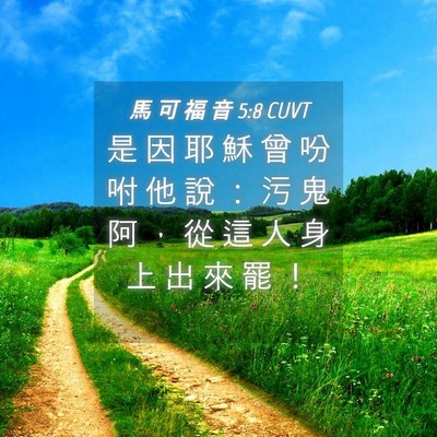 Picture 04 - 馬 可 福 音 5:8 CUVT - 是 因 耶 穌 曾 吩 咐 他 說 ： 污 鬼 - Bible Verse Picture