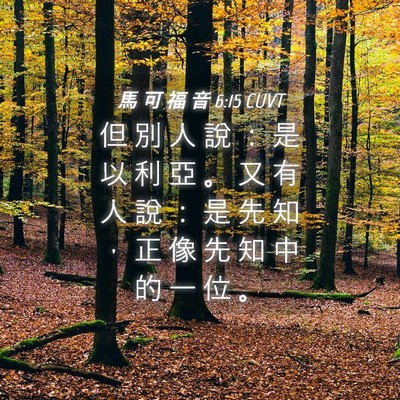 Picture 04 - 馬 可 福 音 6:15 CUVT - 但 別 人 說 ： 是 以 利 亞 。 又 有 - Bible Verse Picture