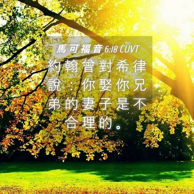 Picture 04 - 馬 可 福 音 6:18 CUVT - 約 翰 曾 對 希 律 說 ： 你 娶 你 兄 - Bible Verse Picture