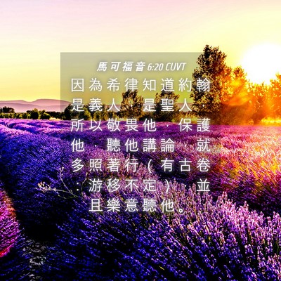 Picture 04 - 馬 可 福 音 6:20 CUVT - 因 為 希 律 知 道 約 翰 是 義 人 ， - Bible Verse Picture
