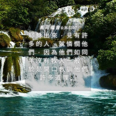 Picture 04 - 馬 可 福 音 6:34 CUVT - 耶 穌 出 來 ， 見 有 許 多 的 人 ， - Bible Verse Picture