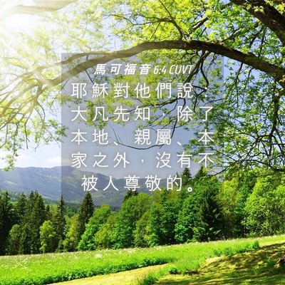 Picture 04 - 馬 可 福 音 6:4 CUVT - 耶 穌 對 他 們 說 ： 大 凡 先 知 ， - Bible Verse Picture