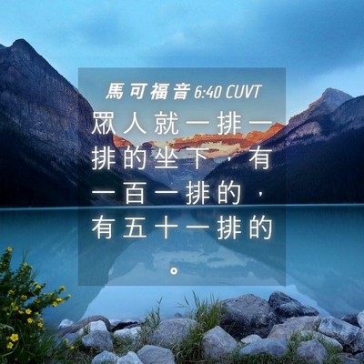 Picture 04 - 馬 可 福 音 6:40 CUVT - 眾 人 就 一 排 一 排 的 坐 下 ， 有 - Bible Verse Picture