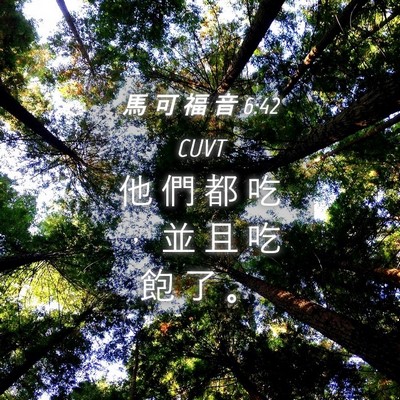Picture 04 - 馬 可 福 音 6:42 CUVT - 他 們 都 吃 ， 並 且 吃 飽 了 - Bible Verse Picture