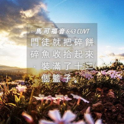 Picture 04 - 馬 可 福 音 6:43 CUVT - 門 徒 就 把 碎 餅 碎 魚 收 拾 起 來 - Bible Verse Picture