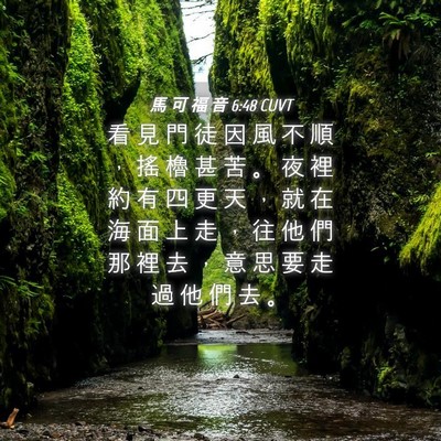 Picture 04 - 馬 可 福 音 6:48 CUVT - 看 見 門 徒 因 風 不 順 ， 搖 櫓 甚 - Bible Verse Picture