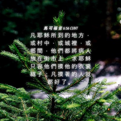 Picture 04 - 馬 可 福 音 6:56 CUVT - 凡 耶 穌 所 到 的 地 方 ， 或 村 中 - Bible Verse Picture