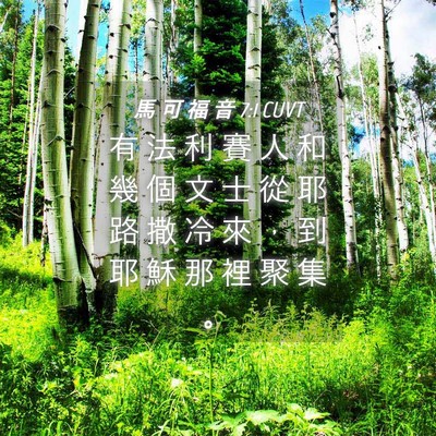 Picture 04 - 馬 可 福 音 7:1 CUVT - 有 法 利 賽 人 和 幾 個 文 士 從 耶 - Bible Verse Picture
