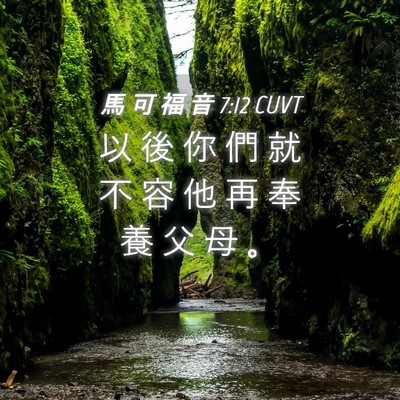 Picture 04 - 馬 可 福 音 7:12 CUVT - 以 後 你 們 就 不 容 他 再 奉 養 父 - Bible Verse Picture