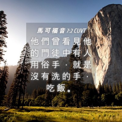 Picture 04 - 馬 可 福 音 7:2 CUVT - 他 們 曾 看 見 他 的 門 徒 中 有 人 - Bible Verse Picture