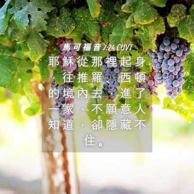 Picture 04 - 馬 可 福 音 7:24 CUVT - 耶 穌 從 那 裡 起 身 ， 往 推 羅 、 - Bible Verse Picture
